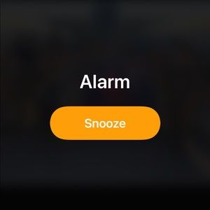 Meet your Posher, Marady